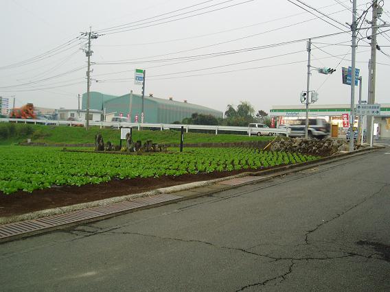 山伏の墓