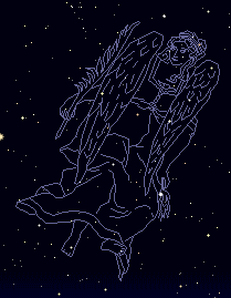 プジョー長崎 ライオンの夜空 星占いの星座 Vol 2