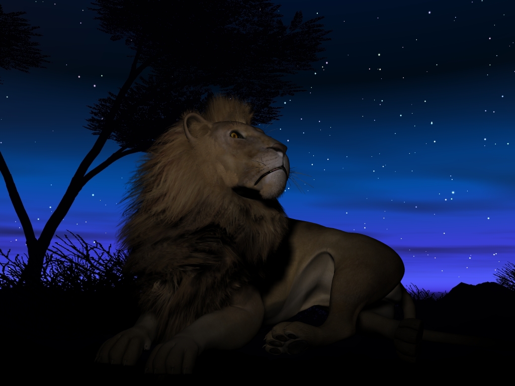 ライオンの夜空 【銀河】