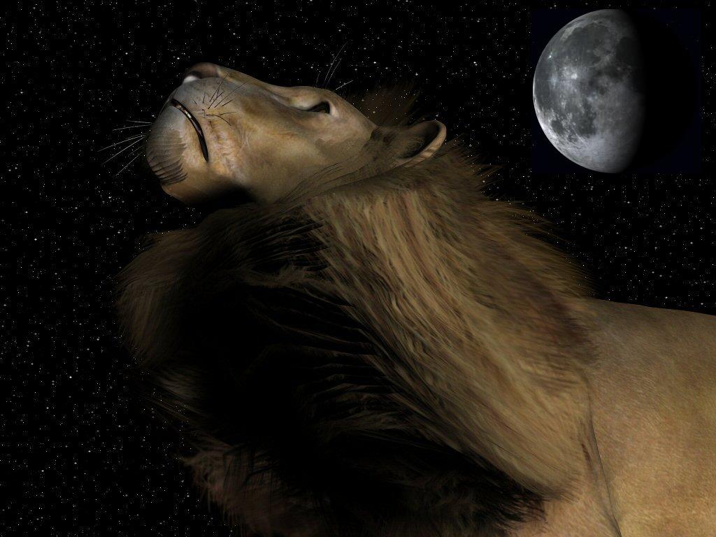 ライオンの夜空「神秘的な月 Vol.1」