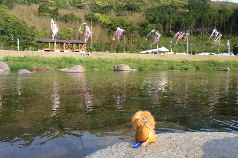 「鯉・来い祭りIN神浦川河川公園」