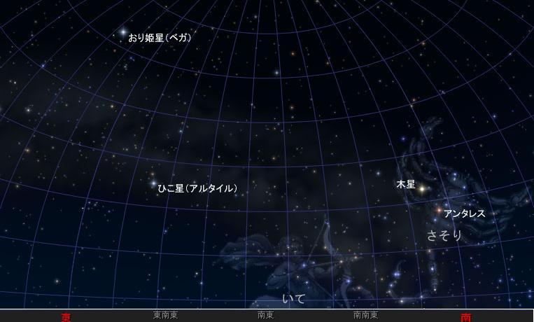 ライオンの夜空【織姫と彦星】