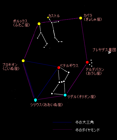 ライオンの夜空 【冬の大三角形】