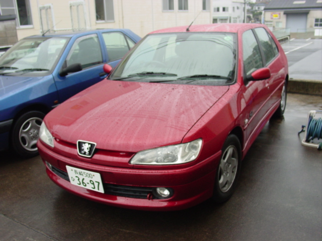 ライオンの記憶 【Peugeot 306】