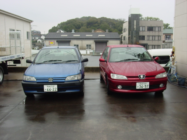 ライオンの記憶 【Peugeot 306】