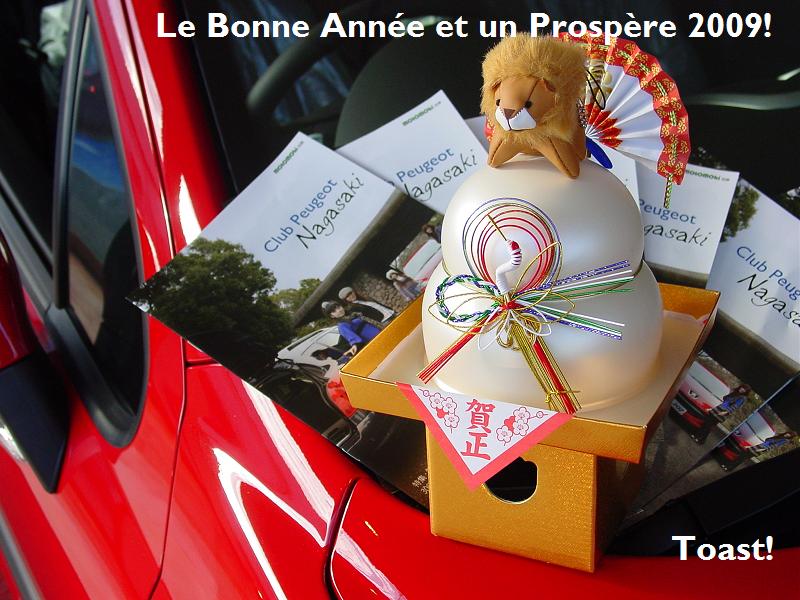 Le Bonne Année et un Prospère 2009!