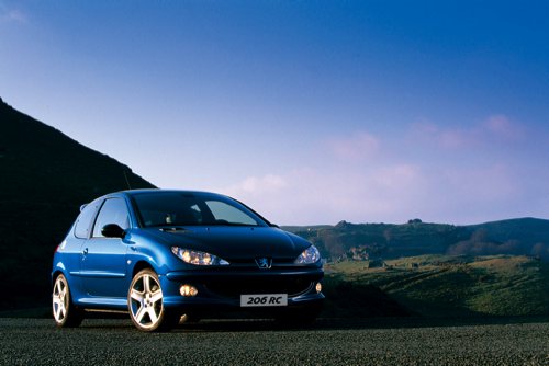 ライオンの記憶 【Peugeot 206  Vol.2】