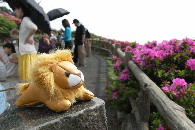 ライオンの旅 【 長串山つつじ公園 】