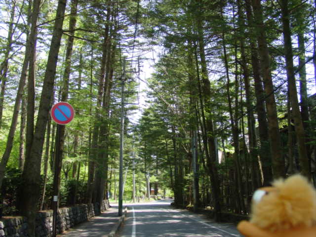 旧軽井沢をサイクリング！　Vol.1