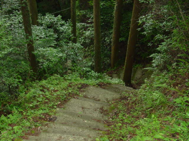 ライオンの旅 【彼杵町・龍頭泉】