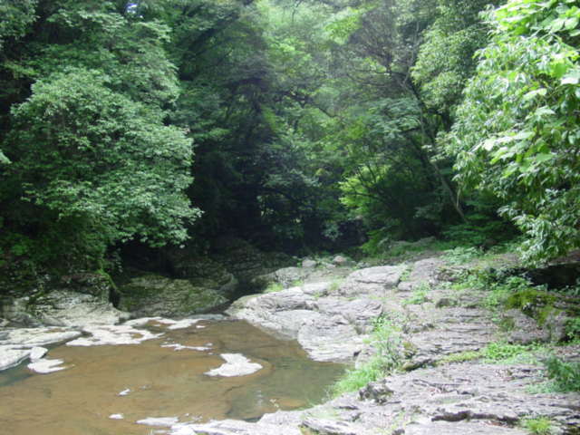 ライオンの旅 【彼杵町・龍頭泉】