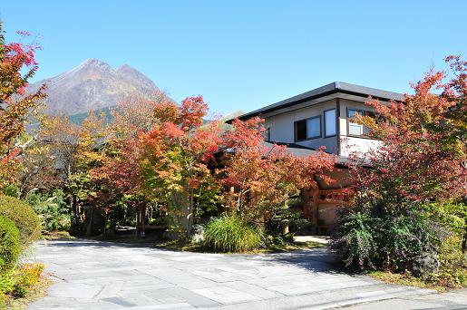 為になるの？こんな雑学!?【湯あたりと湯疲れ】