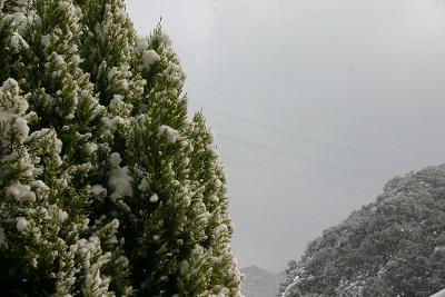 9年ぶりの大雪