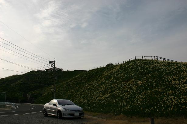 野母崎半島巡り ①　『水仙の里公園』