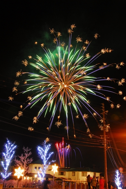 雲仙灯りの花ぼうろ2010