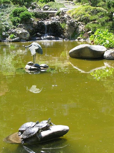 鶴亀算。覚えてますか？