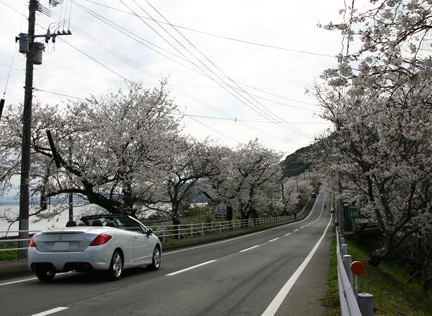 プジョー長崎 試乗Ａコース。