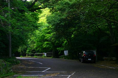 Peugeot 3008 で行く！【高来町：轟峡 ②】