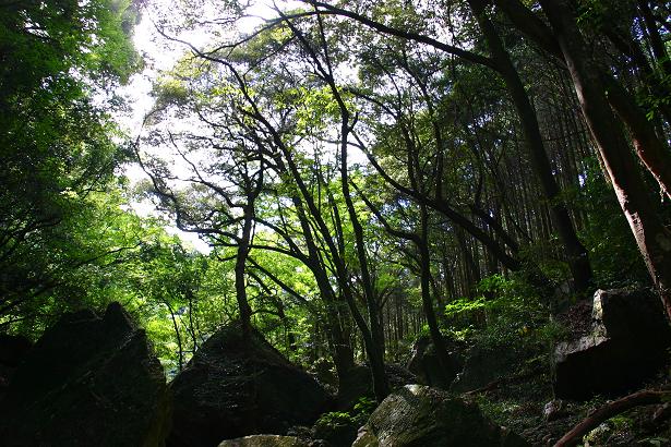 大村市：上諏訪町 【山田の滝と山田神社】②