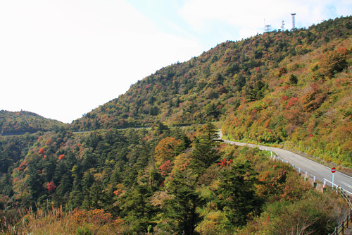 雲仙岳の紅葉情報!?