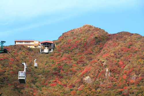 雲仙岳の紅葉情報!?