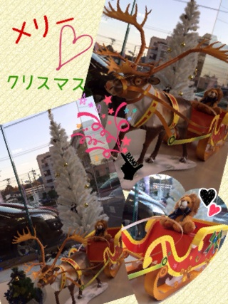 プジョー長崎にトナカイがやってきました！
