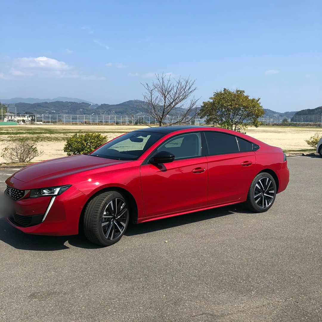特別内覧会開催中