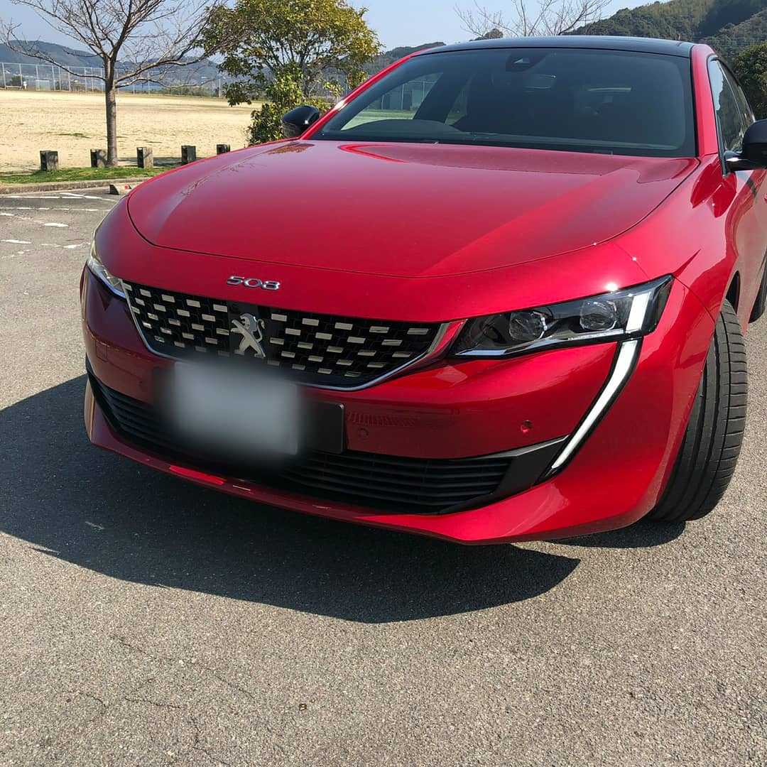 特別内覧会開催中