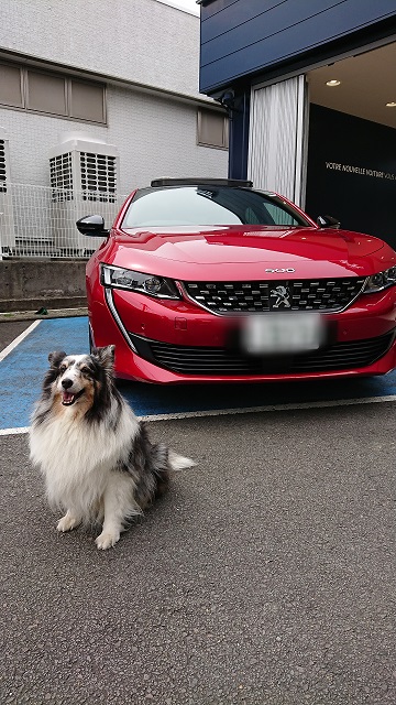 とっても可愛いモデルさん