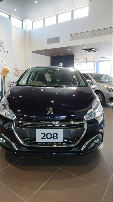 展示車情報