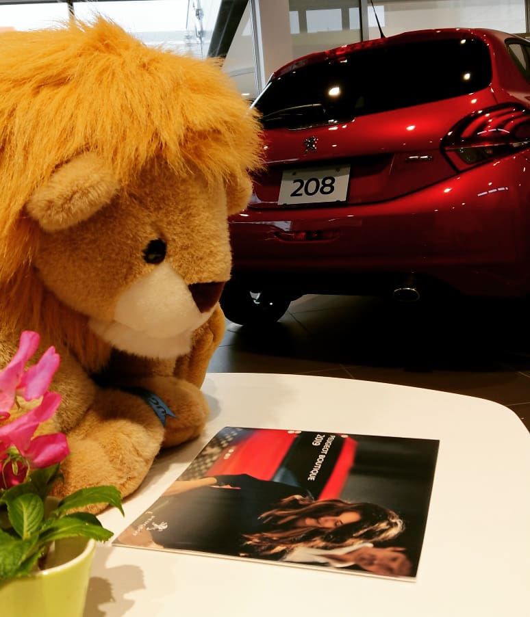 PEUGEOT BOUTIQUE 2019