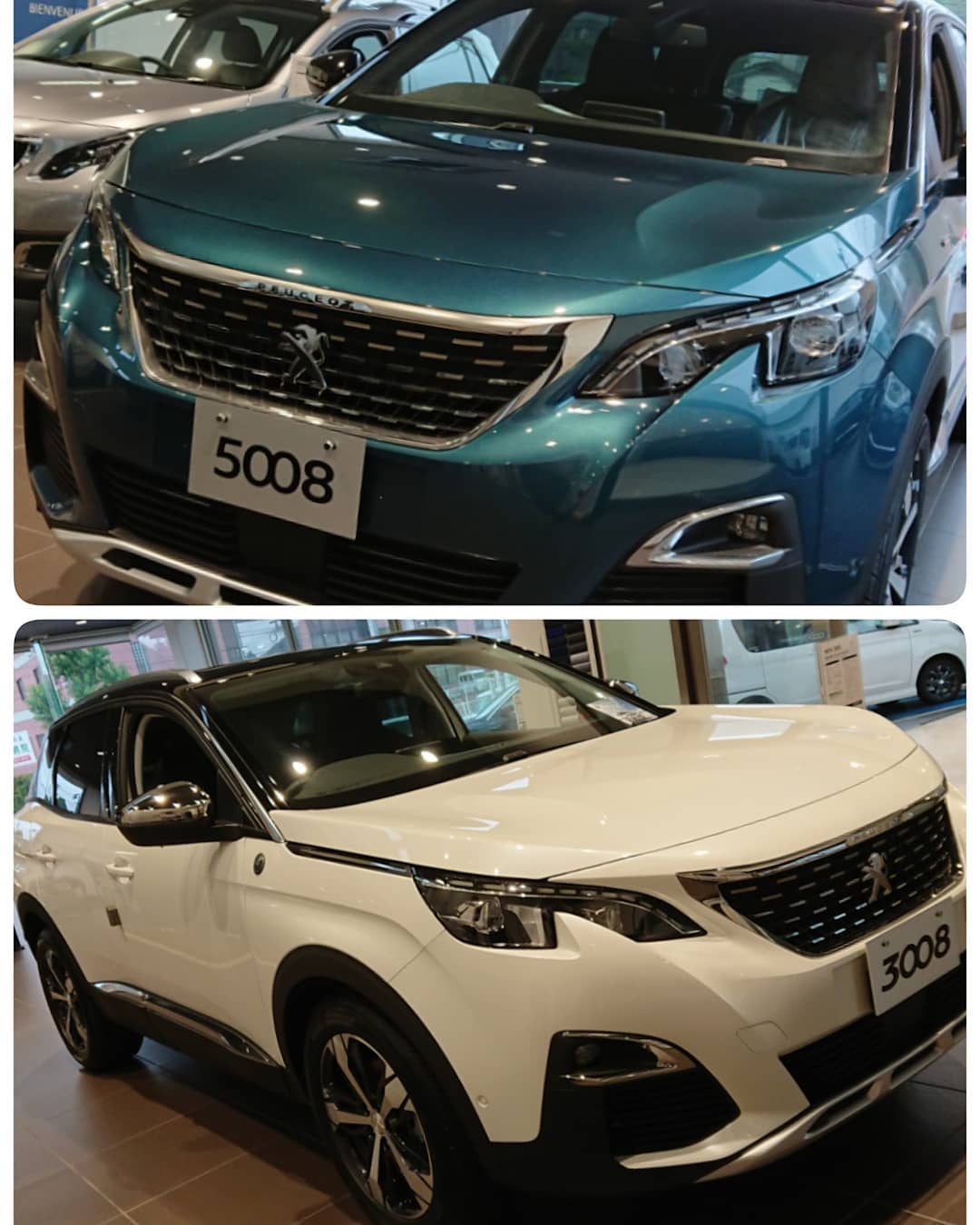 SUV PEUGEOT 3008/5008 CROSSCITY BlueHDi 　DEBUT FAIR