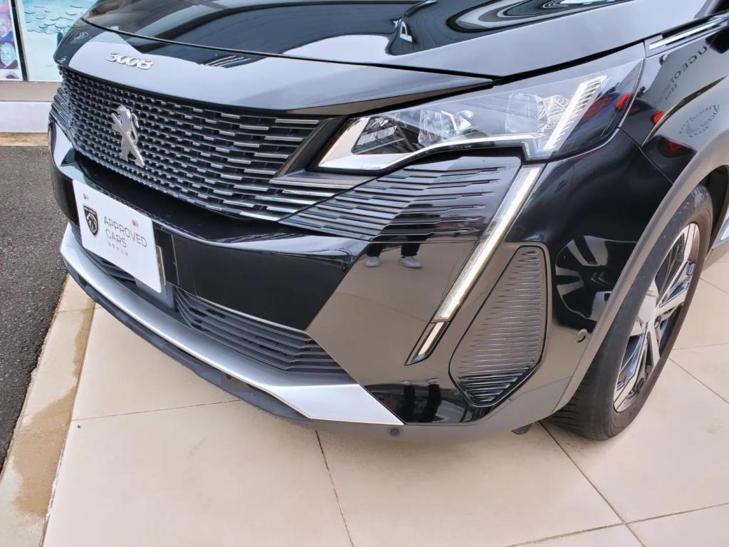 中古車情報