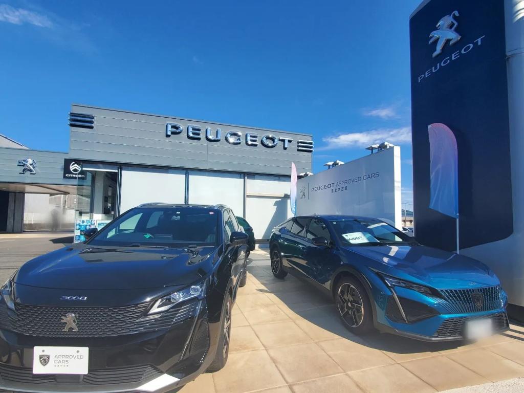 中古車情報②
